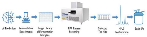 High Throughput Raman Screening for AI Guided Fermentation R&D