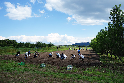 田舎っ兵衛