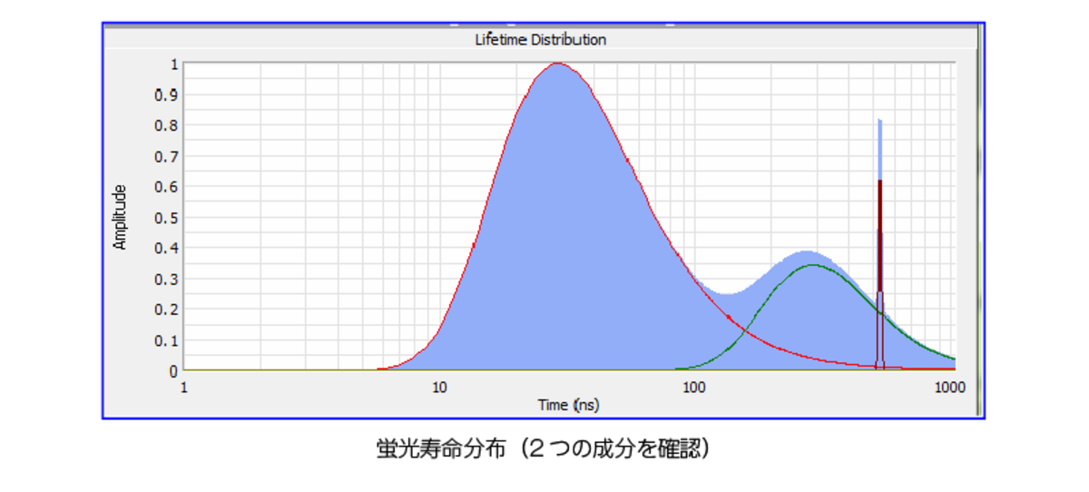 蛍光寿命分布⇒2つの成分が含まれていることが視覚的に判断
