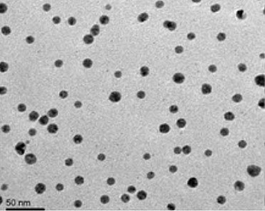 Nanoparticle Size of Colloidal Silver