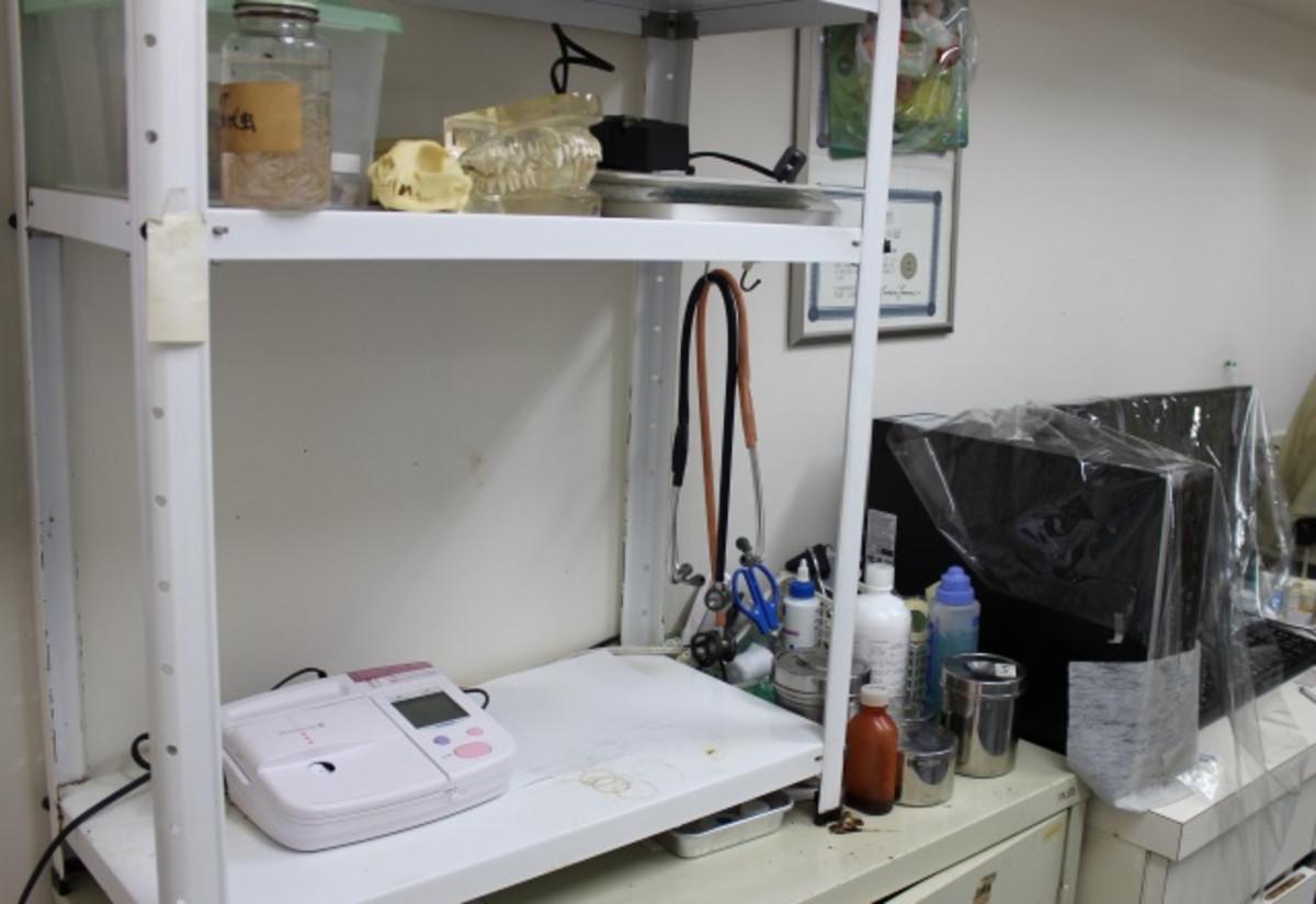 検査台の様子 検査台の様子