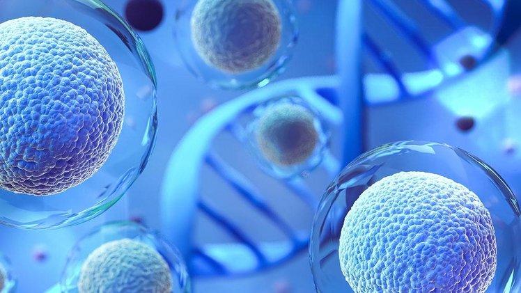Biopharma and Pharma - HORIBA