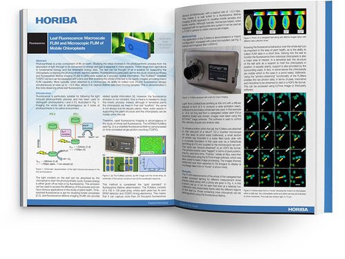 Leaf Fluorescence: Macroscale FLIM and Microscopic FLIM of Mobile Chloroplasts
