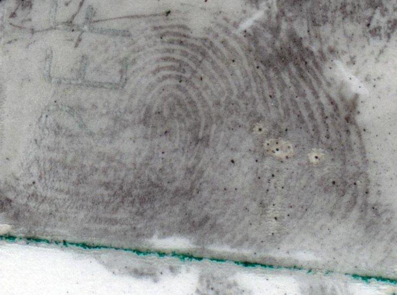 Projected Pattern Forensic Image Forensics Articles - HORIBA