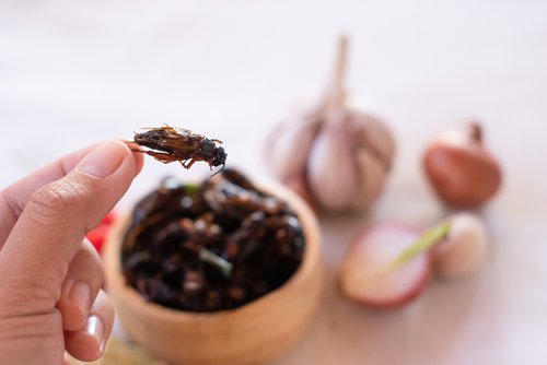Elemental Distribution Imaging on Edible Insects Using Micro-XRF