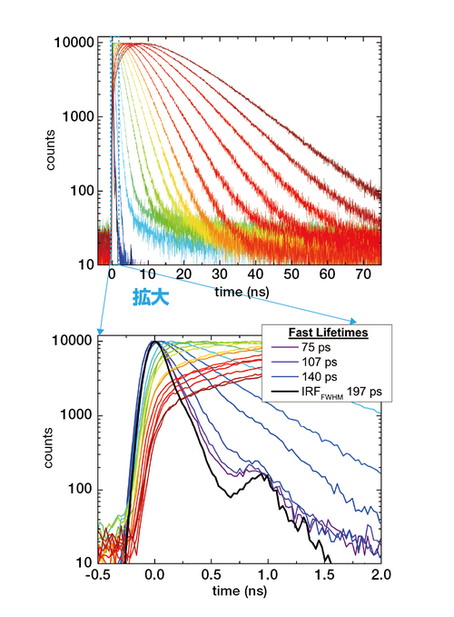 蛍光寿命測定例