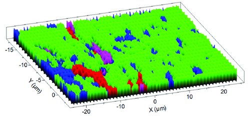 Raman Imaging of monkey brain tissue