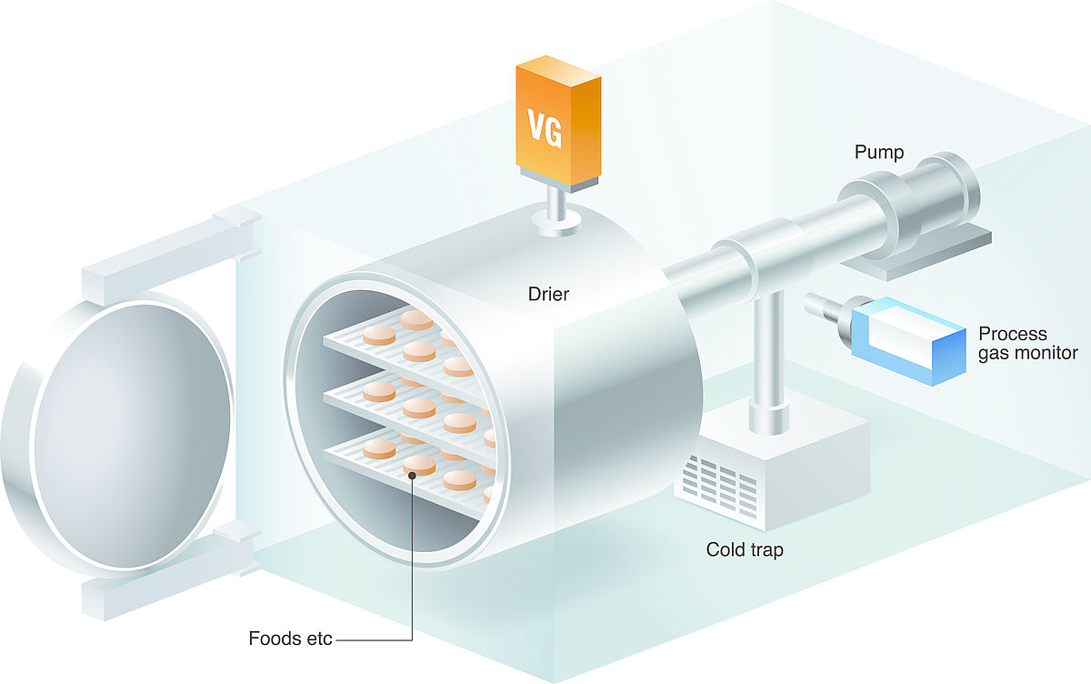 How Does Freeze Dryers Work at William Reser blog