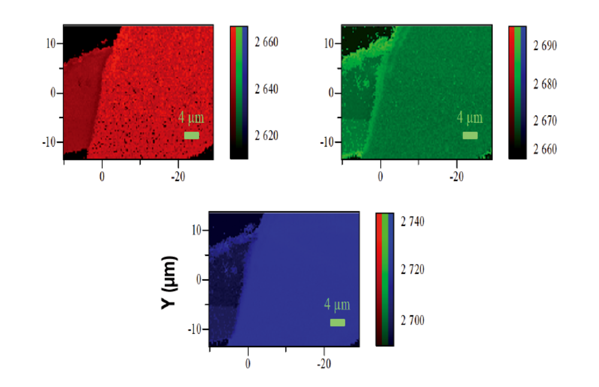 Figure 6: ラマン画像はピーク分離されたパラメータに基づいたものであり、各画像の色の強度は、各点におけるピーク位置に基づく