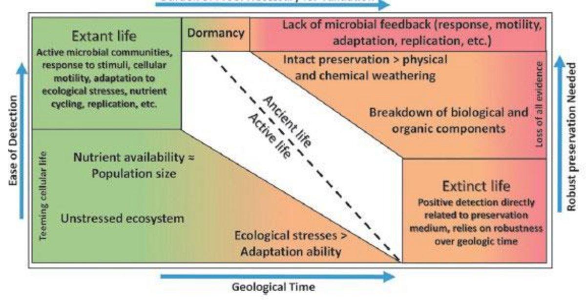 Evolutionary chart of life for the Earth and Mars.