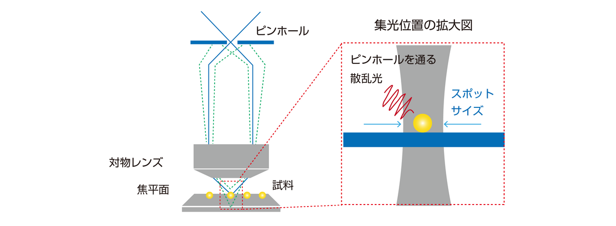 図6 共焦点ラマンイメージング光学系概略図