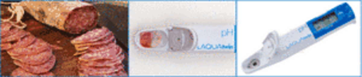 pH Measurement in Acidification of Fermented Sausages