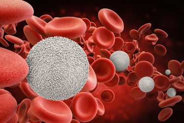Hematology