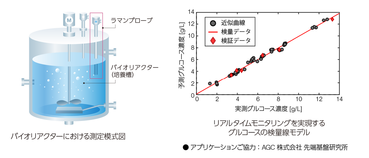 リアルタイムモニタリングを実現するグルコースの検量線モデル