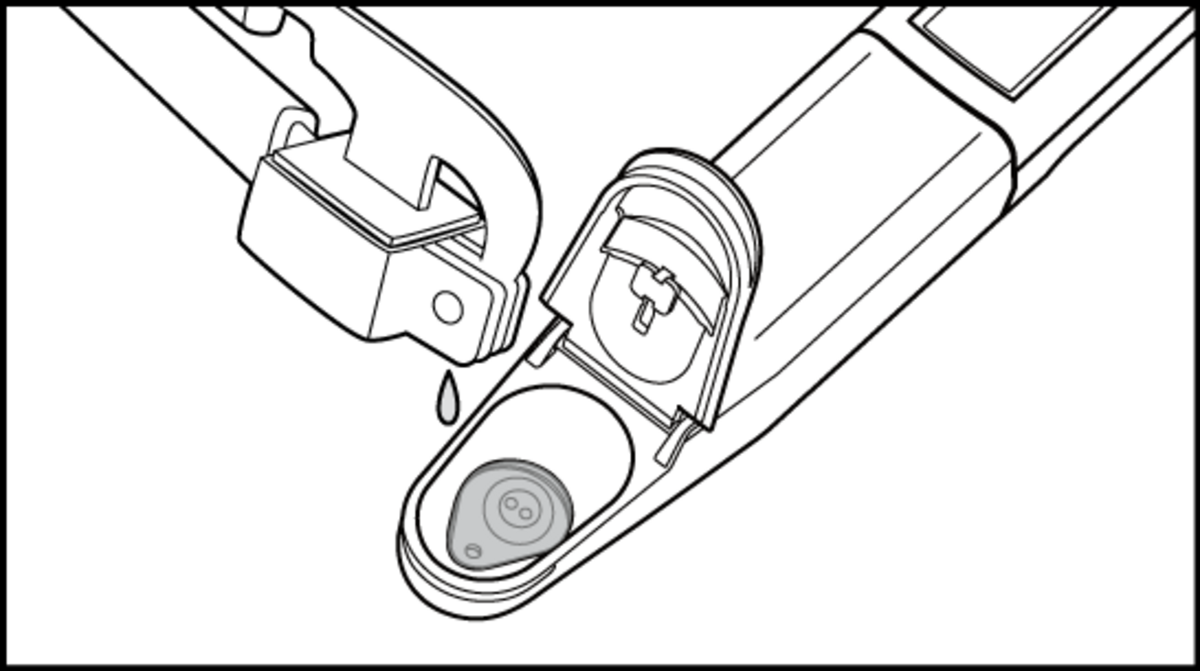 Collect ≥0.5 mL total sap