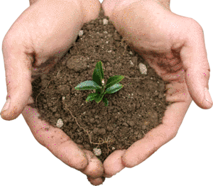 potassium in soil_01