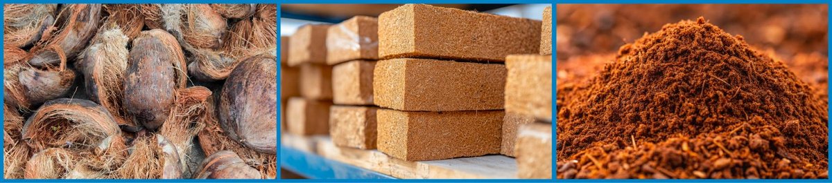 3 column images showing coconut husks, coco peat and coco coir bricks and gardening mix