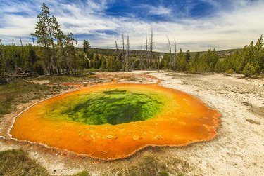 Yellowstone National Park hot spring