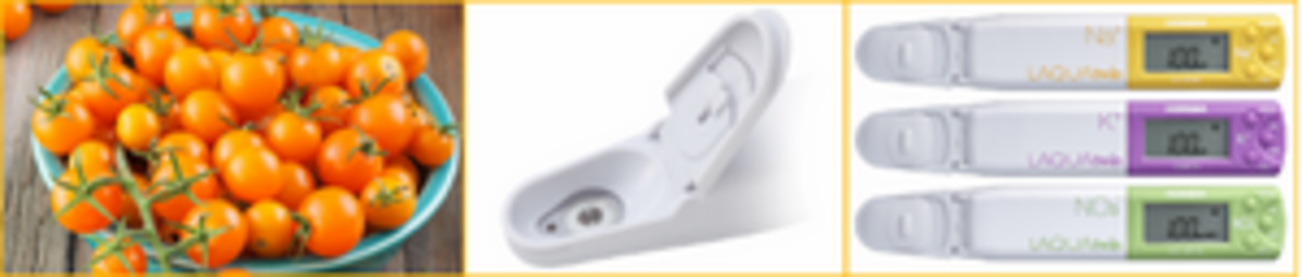 Determination of Nutrient Concentrations in Soil Solution and Tomato Plant Sap