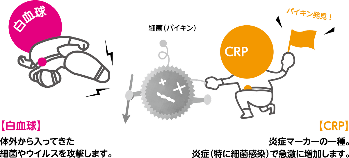 健康・医学 HIYO 汗の乳酸を測定するバイオセンサの低酸素トレーニングでの活用