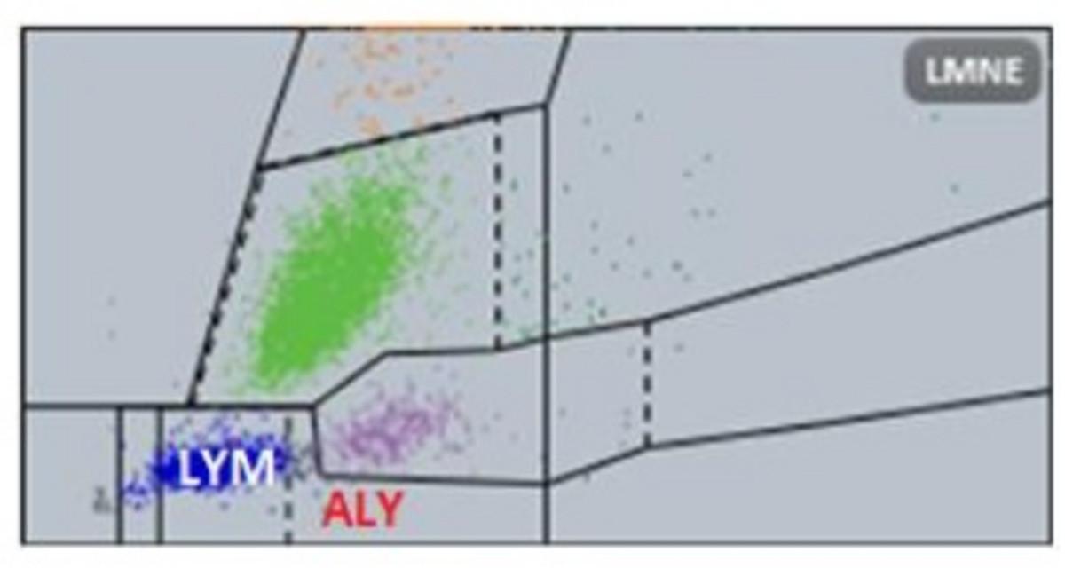 Figure 1: Lymphocytes (LYM) and ALYs on LMNE matrix