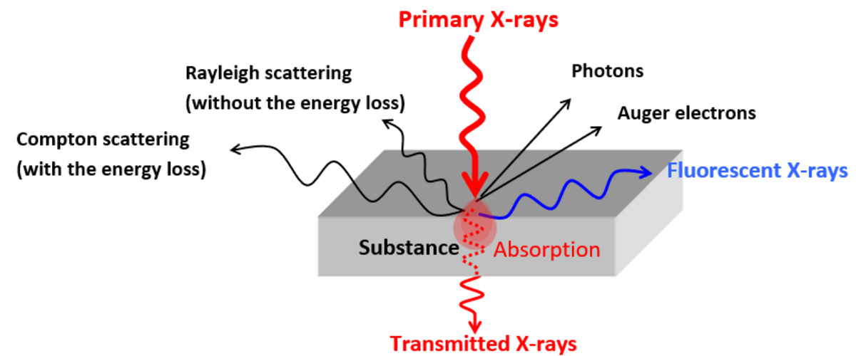Influence of a contrast medium on the absorption of X-rays - Influence of a contrast  medium on the absorption of X-rays - Detection of X-rays - X-ray physics -  Atomic and nuclear