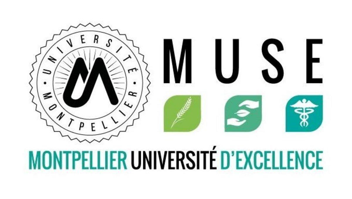 Logo_Muse