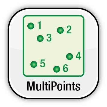 MultiPoints©: Automatic Acquisition of Raman Spectra at Multiple Positions
