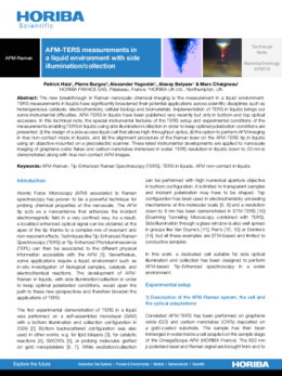 AFM-TERS measurements in a liquid environment with side illumination ...