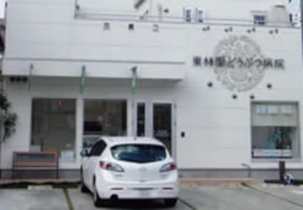 トリミングサロンも併設しています トリミングサロンも併設しています