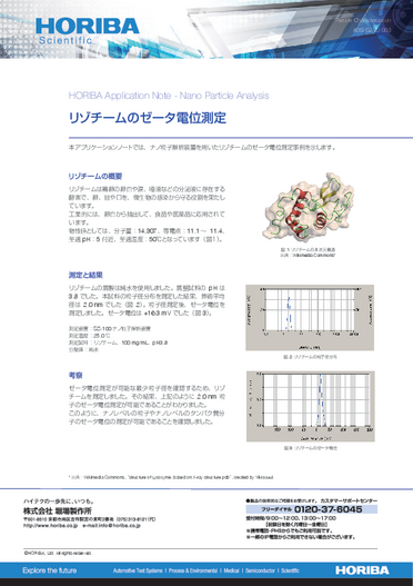 リゾチームのゼータ電位