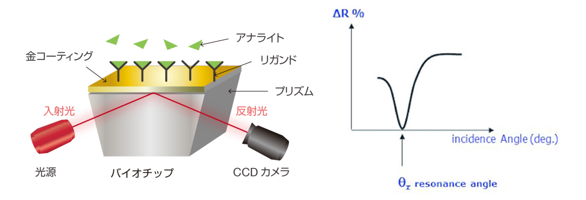 バイオチップの概略図とプラズモン曲線
