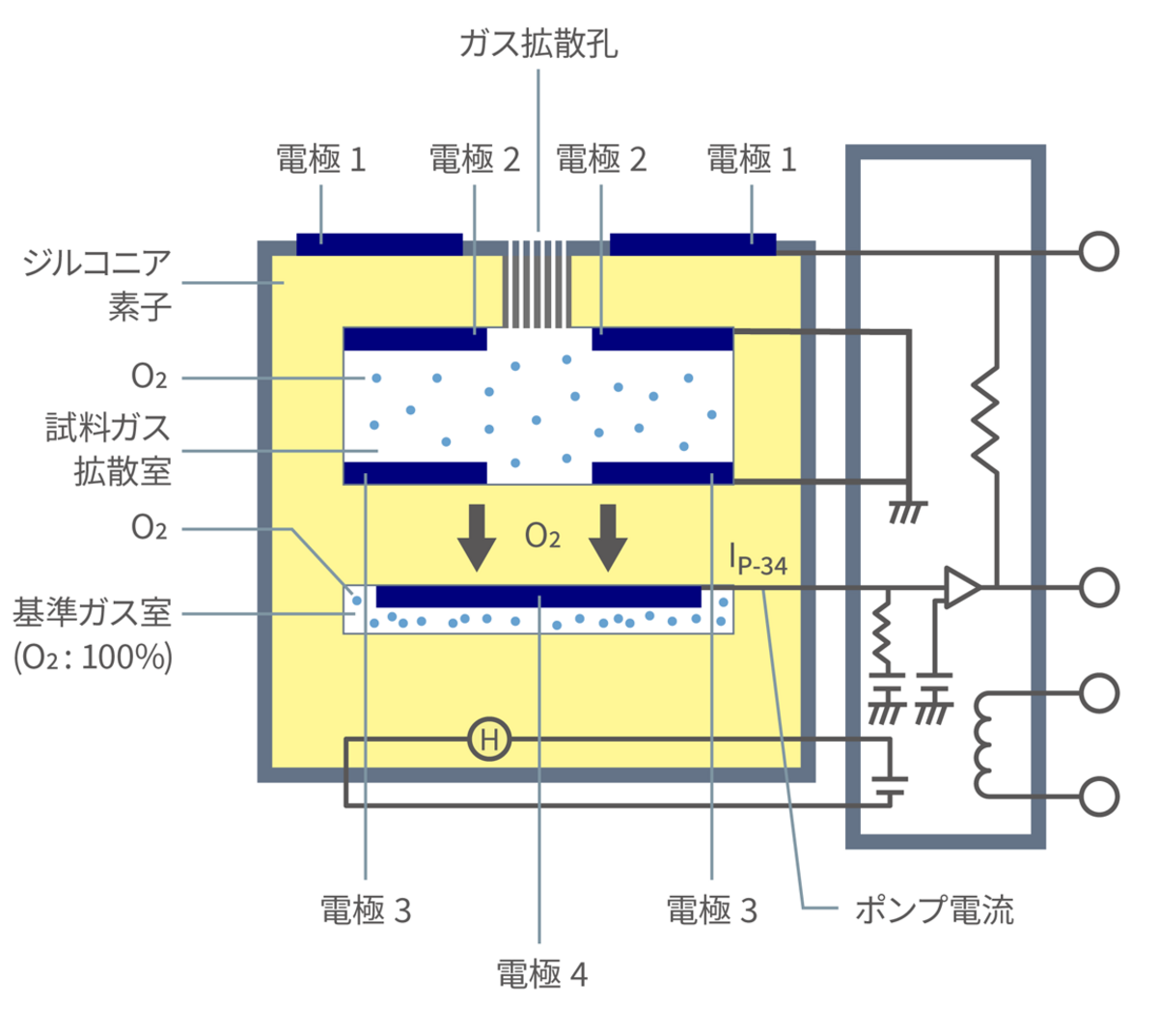 図4-2：酸素ポンプ作用