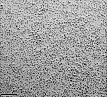 Nanoparticle Size of Colloidal Palladium