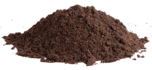 soil nitrate_01
