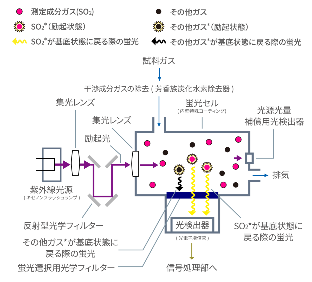 ナノ蛍光体の開発と応用/シ-エムシ-出版/磯部徹彦（単行本） 楽天市場】ナノ蛍光体の開発と応用の通販