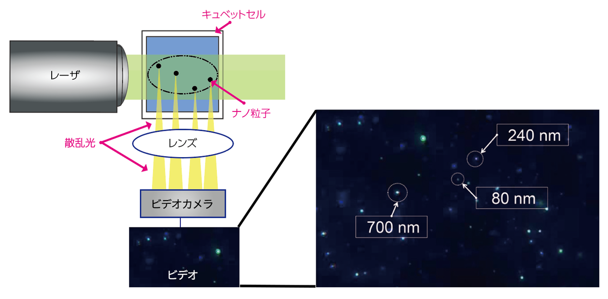 図1 装置概略図