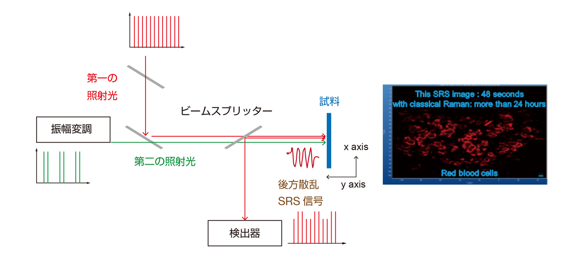 ラマン分光の原理 - HORIBA