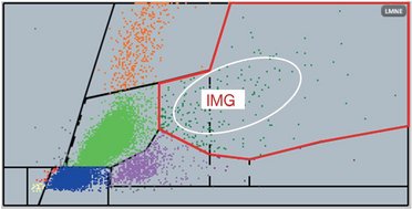Figure 3_IMG zone on the LMNE matrix