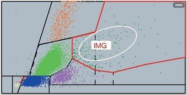 Figure 3_IMG zone on the LMNE matrix