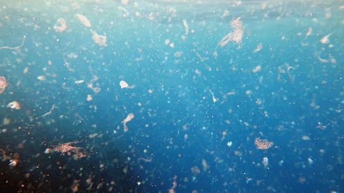 Morphological and chemical characterizations of microplastic particles using ParticleFinderTM and Raman techniques