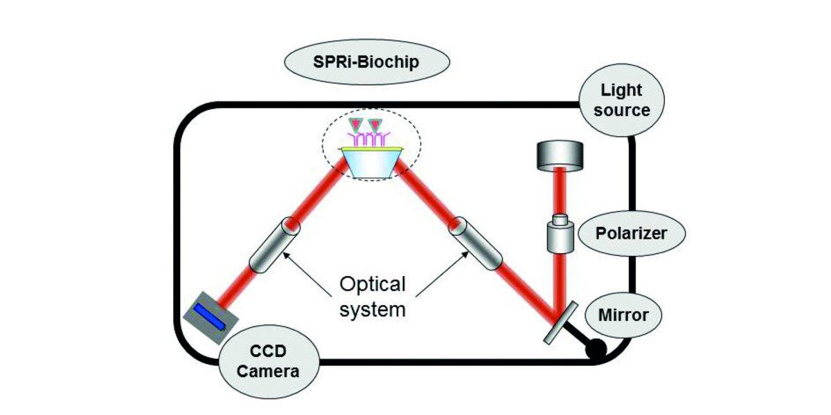 表面プラズモン共鳴イメージング装置＜OpenPlex＞測定構成