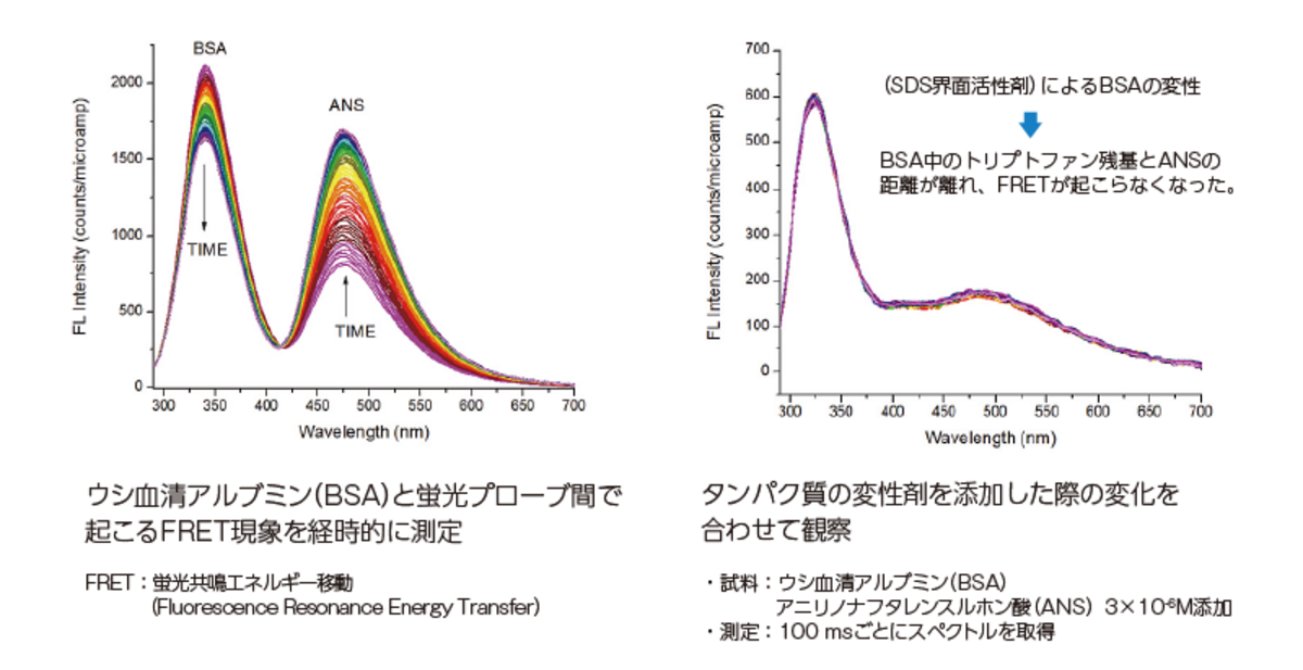 蛍光＋吸光スペクトルを高速取得