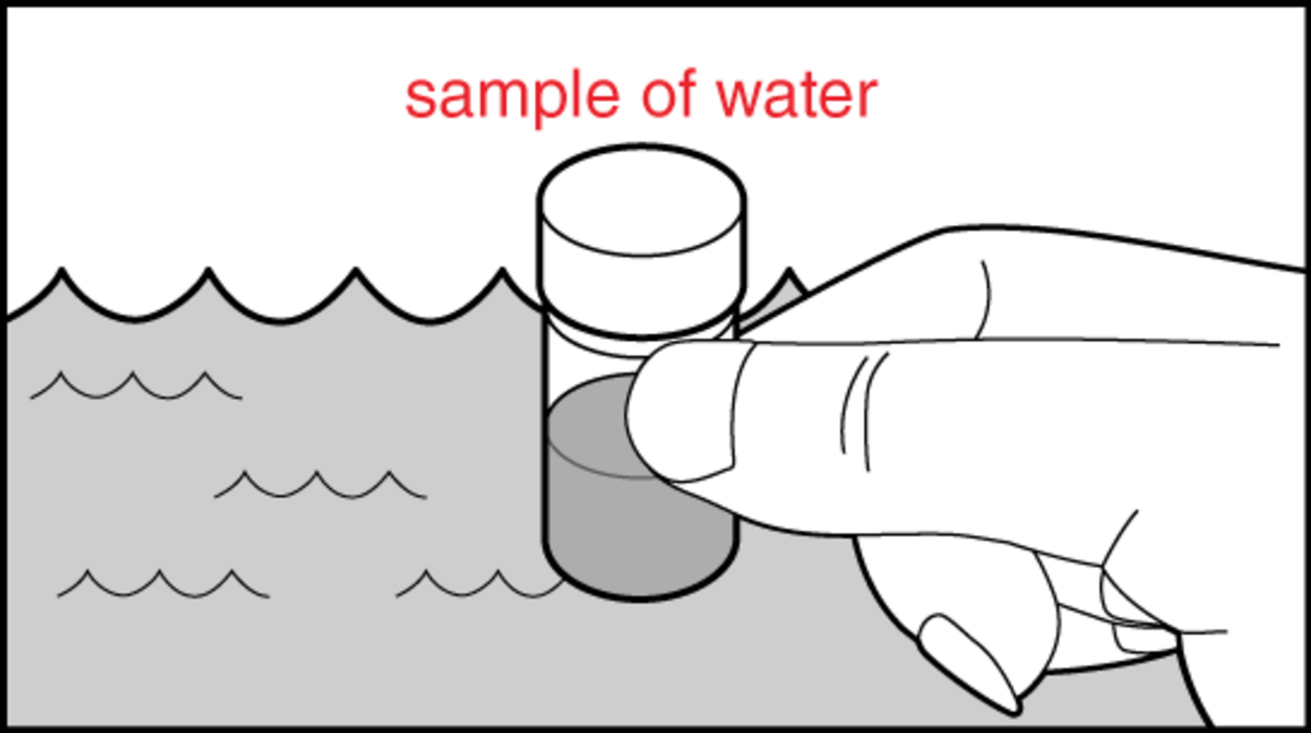 Illustration: Step 1 - Collect a representative sample of water to be tested