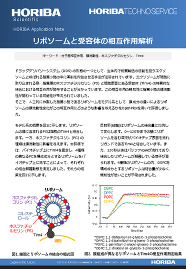 リポソームと受容体の相互作用解析