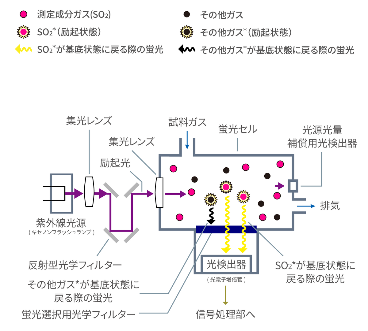 紫外線蛍光方式（UVF：Ultraviolet Fluorescence）