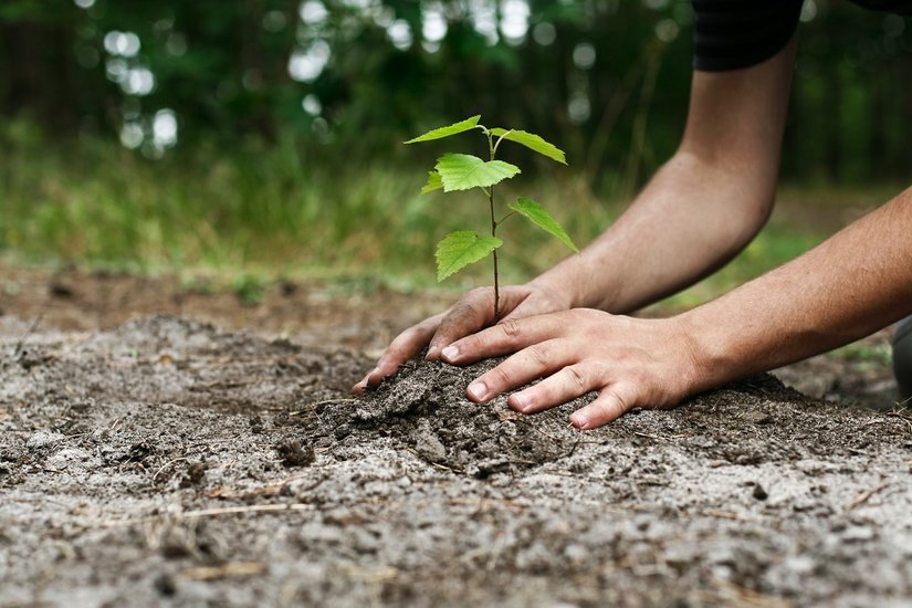 Our eco-friendly practice_image_HORIBA