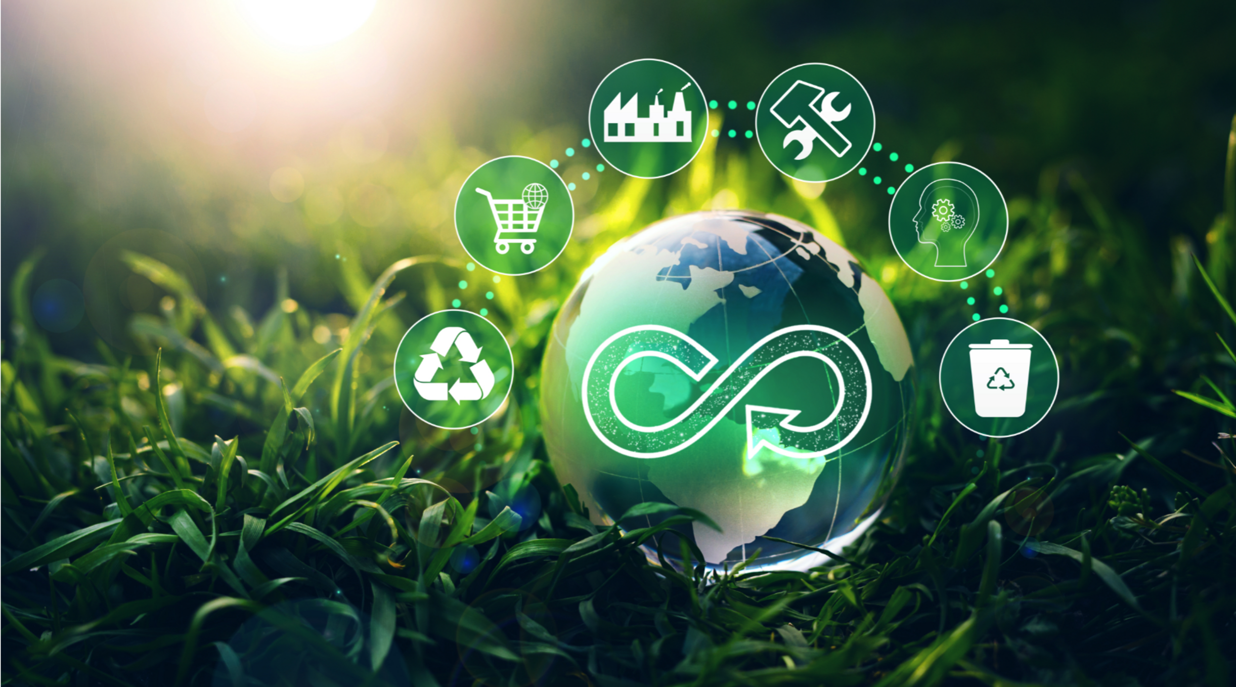 Greenhouse Gas (GHG) Protocol Reporting - Everything you need to know (+  more) - Ecochain - LCA software company