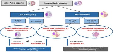 Figure 7: Visual representation of the large and reticulated platelet distribution and technology enabling screening.