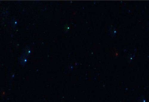 Size Distribution and Concentration of Extracellular Vesicles